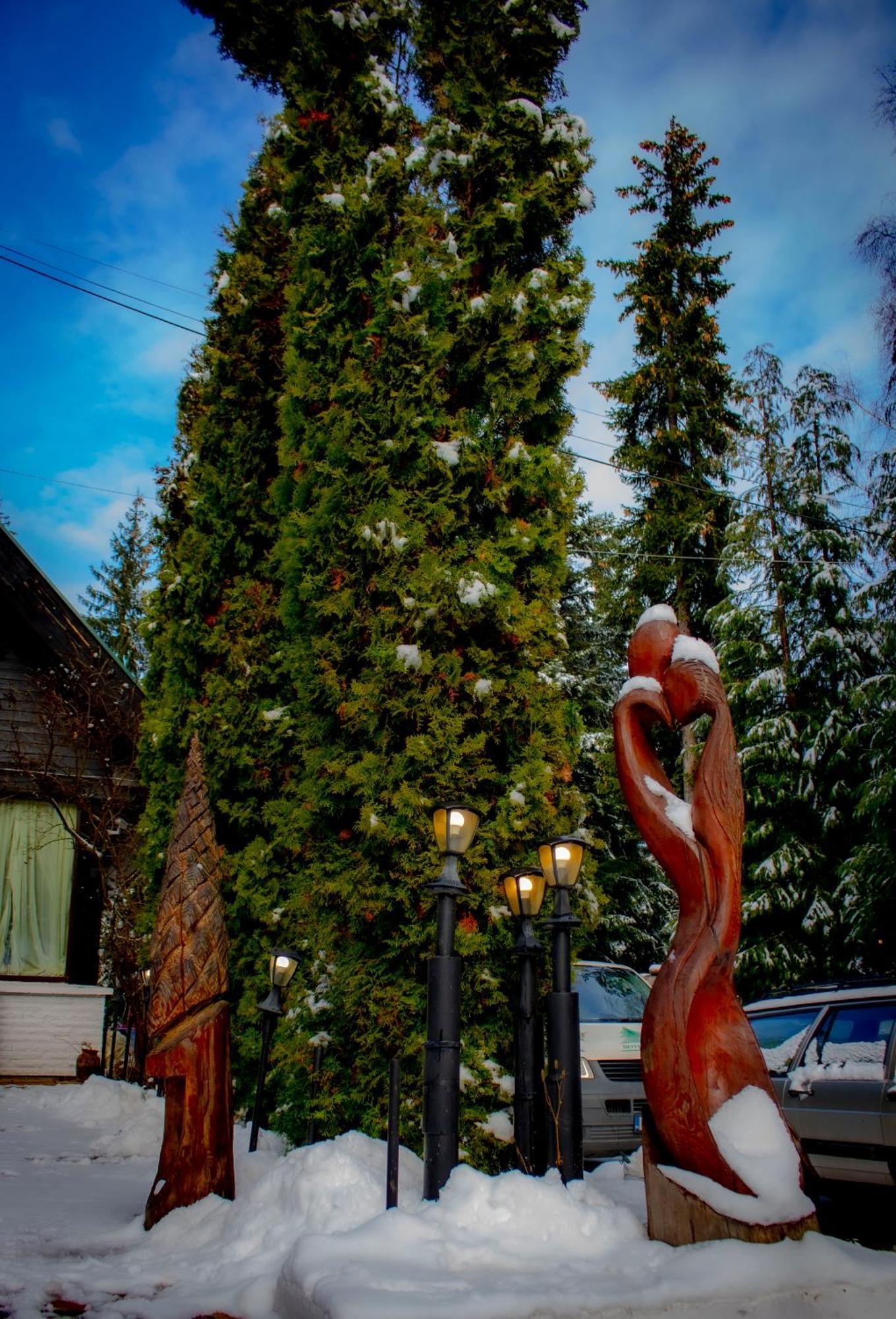 Breza Hotel Borovets Exterior foto